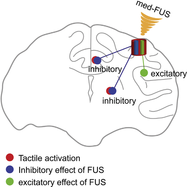 Fig. 8.