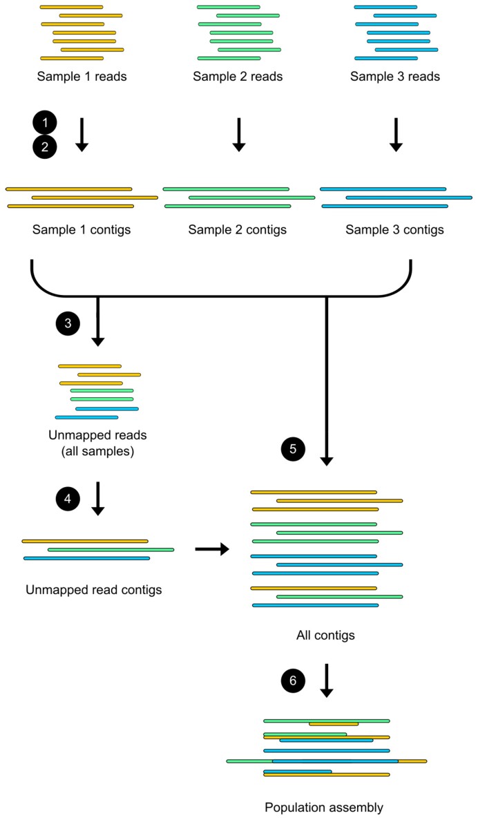 Figure 3: