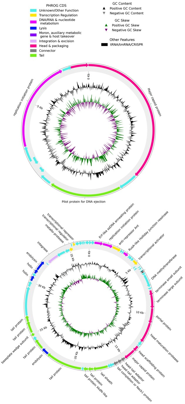 Figure 6: