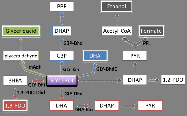 Figure 3 