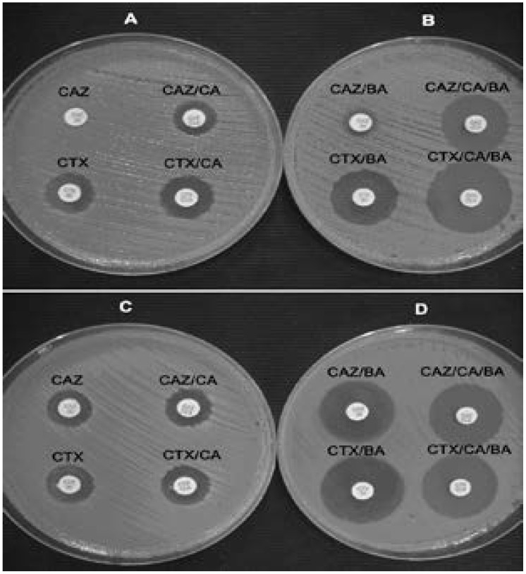 Fig. 14