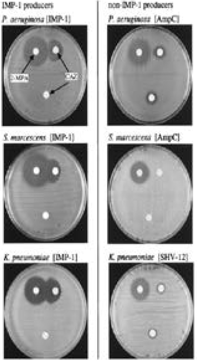 Fig. 12