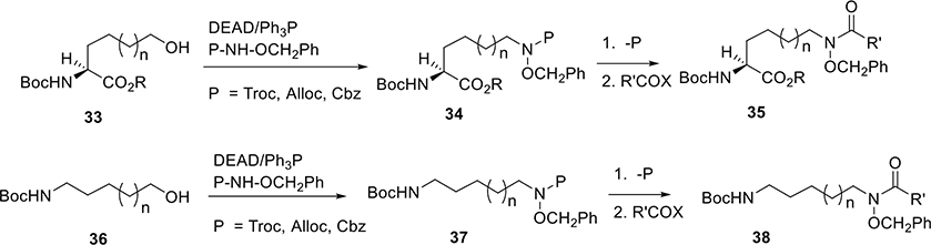 Scheme 2