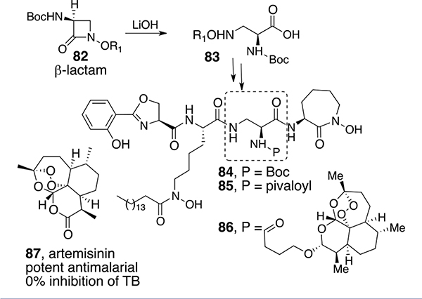 Scheme 8