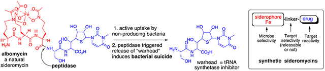 graphic file with name nihms-1818280-f0021.jpg