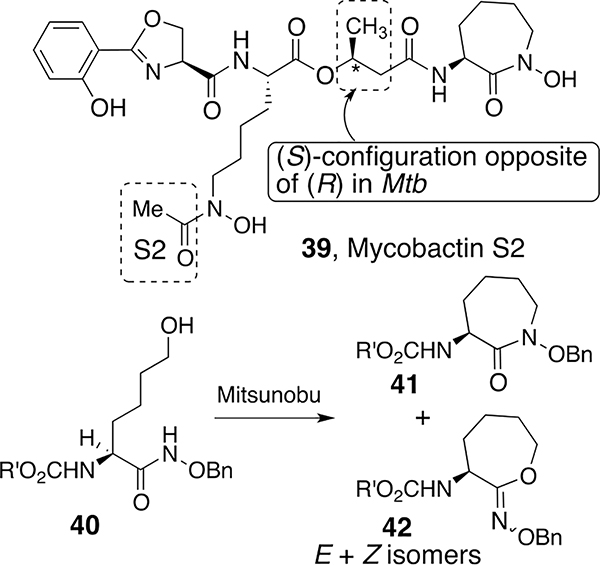 Scheme 3