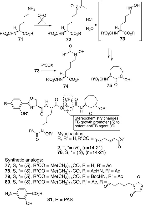 Scheme 7