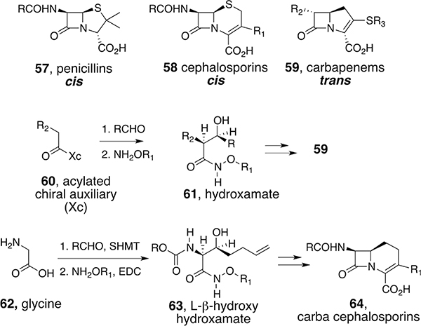 Scheme 5