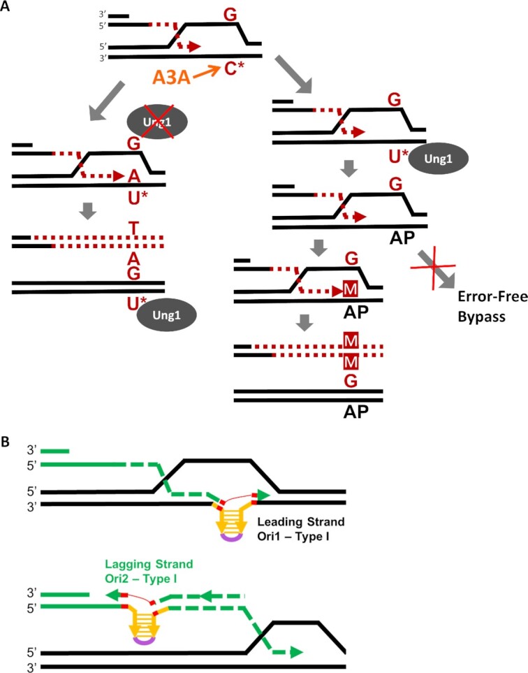 Figure 6.