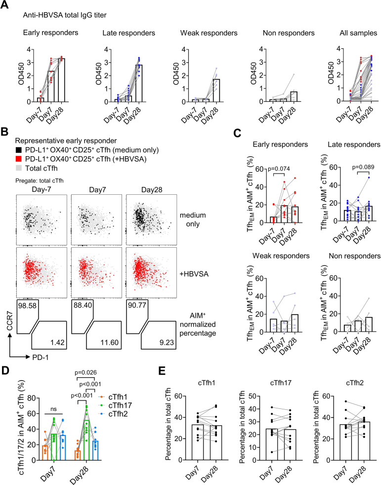 Figure 5—figure supplement 2.