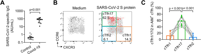 Figure 7—figure supplement 1.