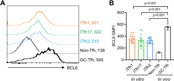 Figure 1—figure supplement 1.