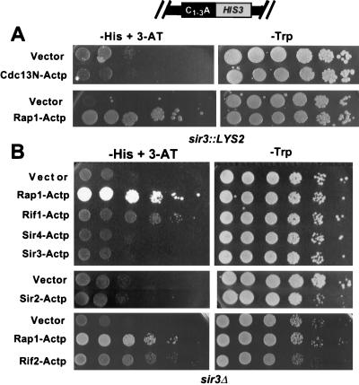 FIG. 6