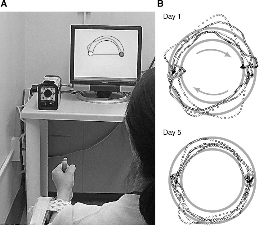 Fig. 1.