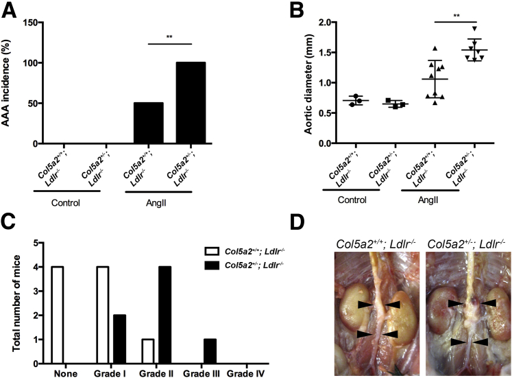 Figure 6