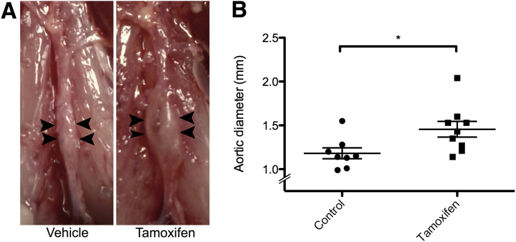 Figure 5