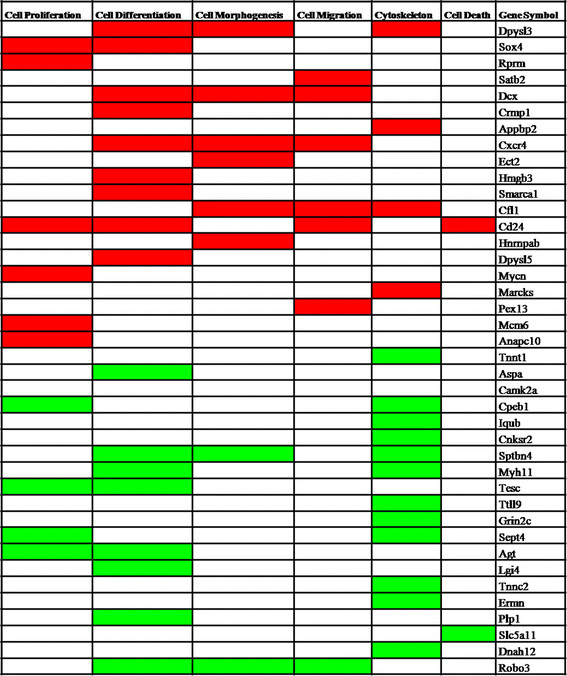 Figure 4 