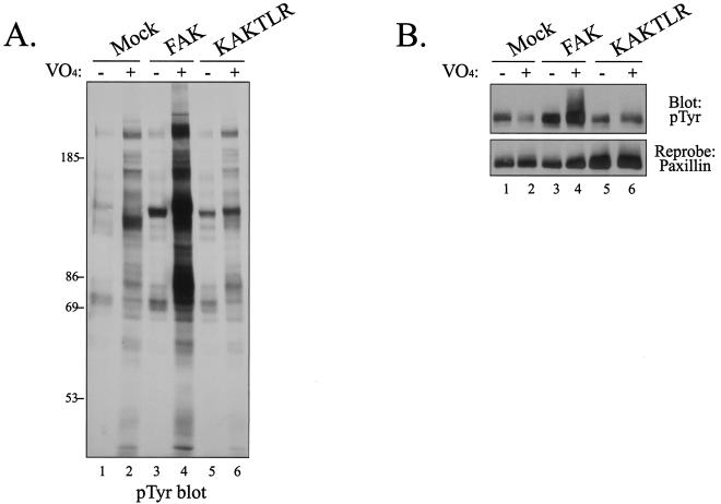 FIG. 8.