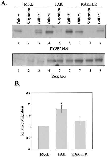 FIG. 9.