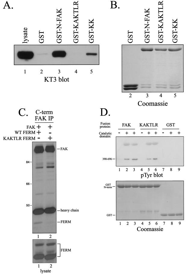 FIG. 4.