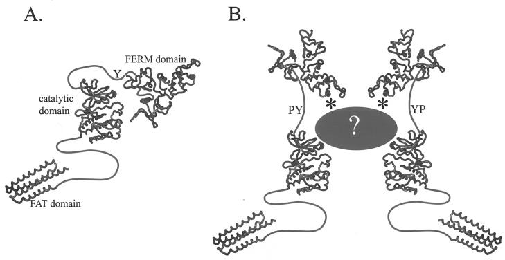 FIG. 10.