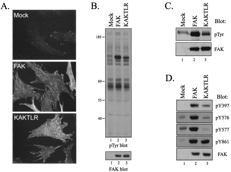 FIG. 5.