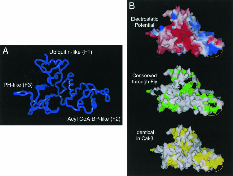 FIG. 3.