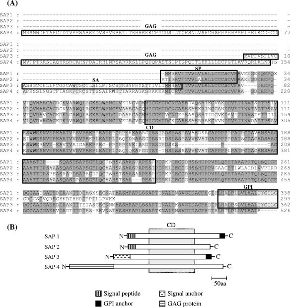 FIG. 2.