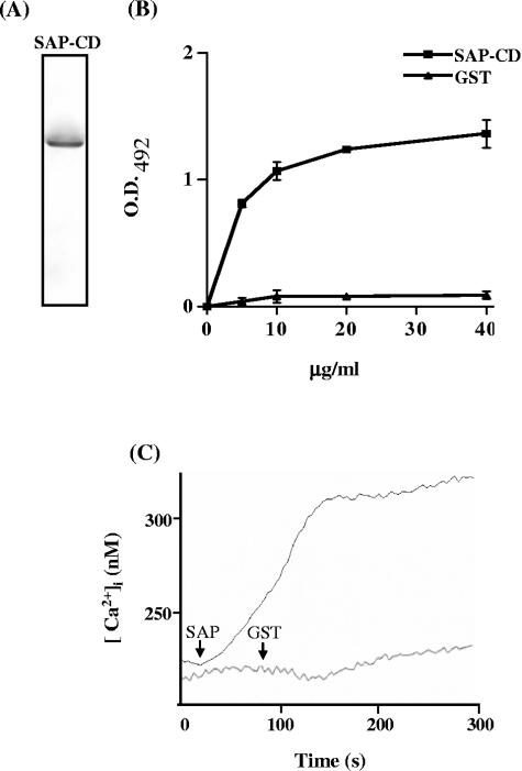 FIG. 6.