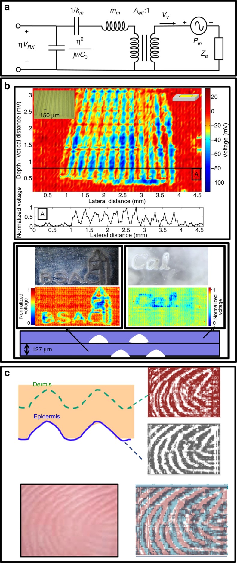 Figure 6