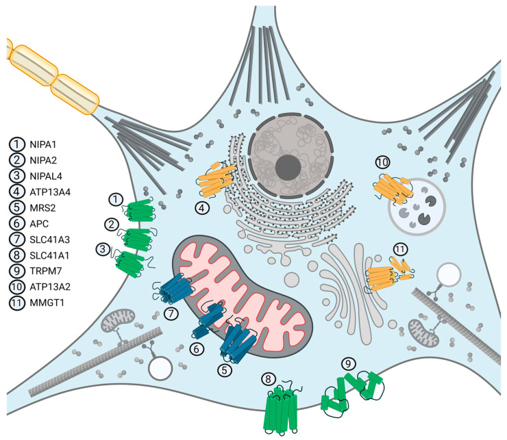 Figure 2