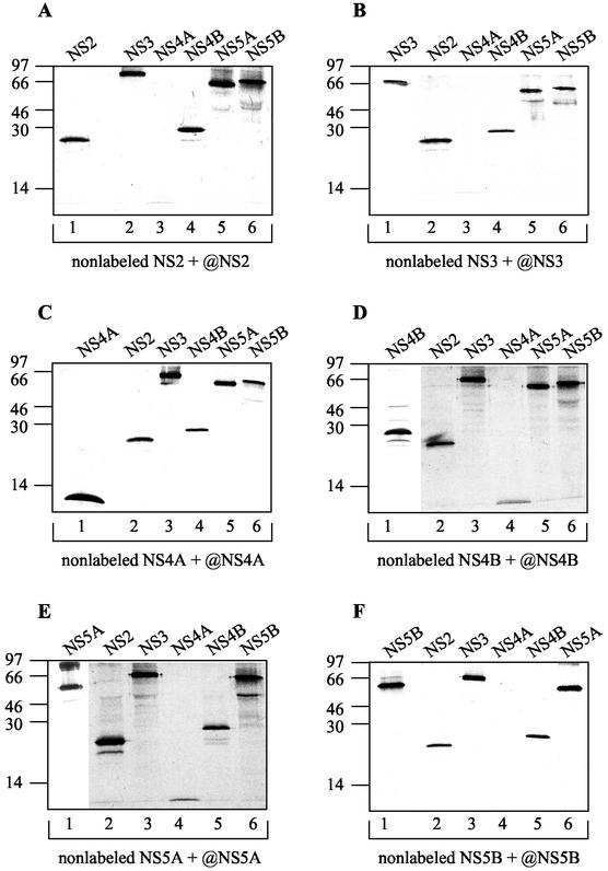 FIG. 4.