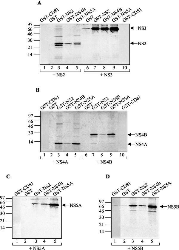 FIG. 2.