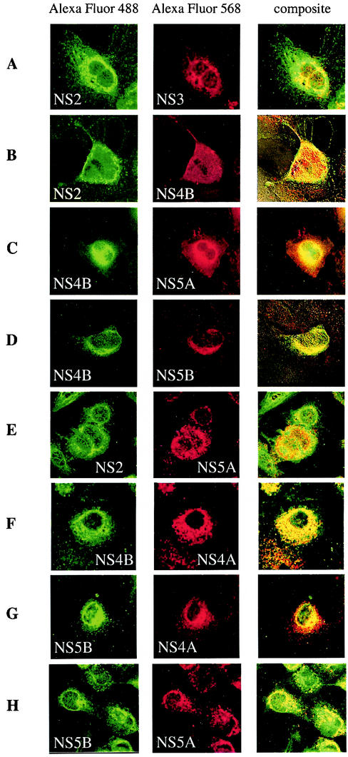 FIG. 9.