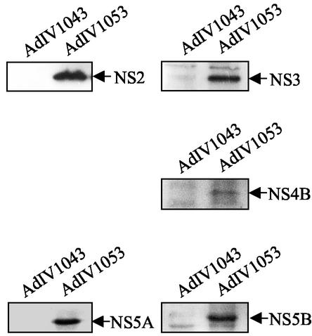 FIG. 7.