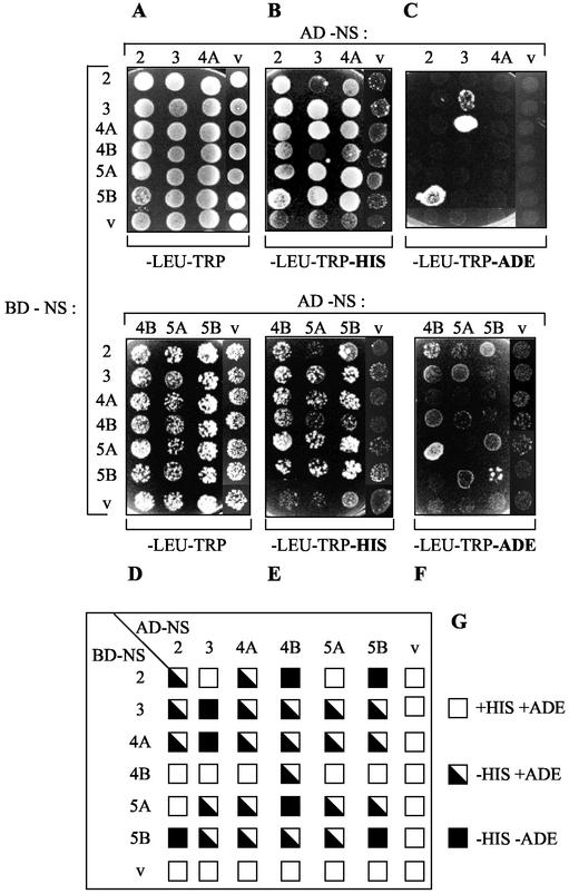 FIG. 6.