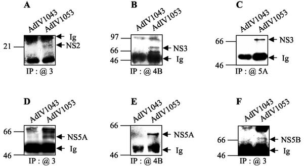 FIG. 8.