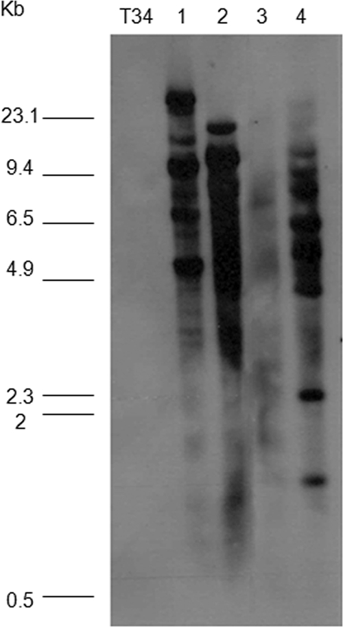 Fig. 3.