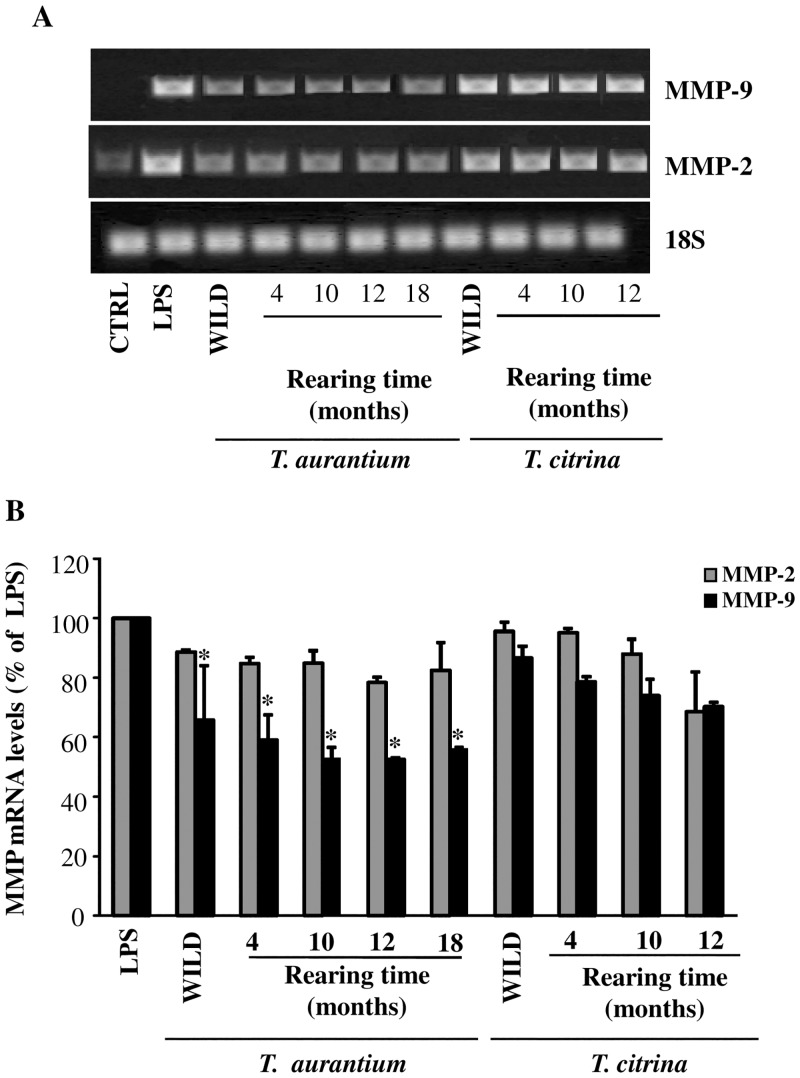 Fig 8