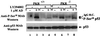 FIG. 9