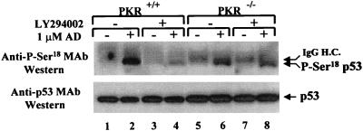 FIG. 9