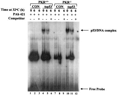 FIG. 5