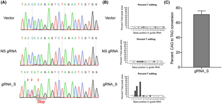 FIGURE 3