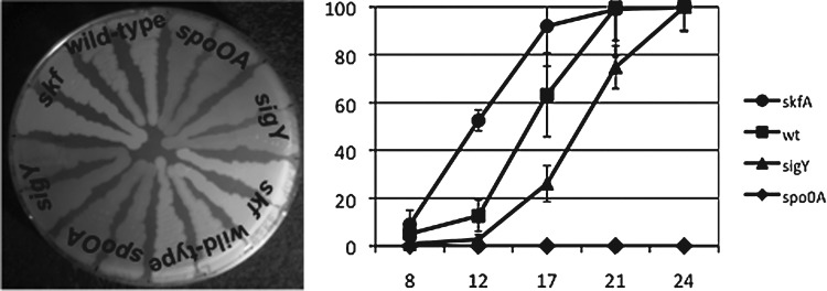 FIG. 5.