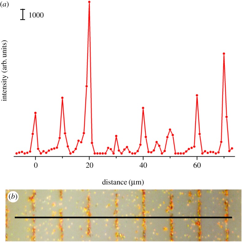 Figure 2.