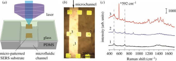 Figure 3.