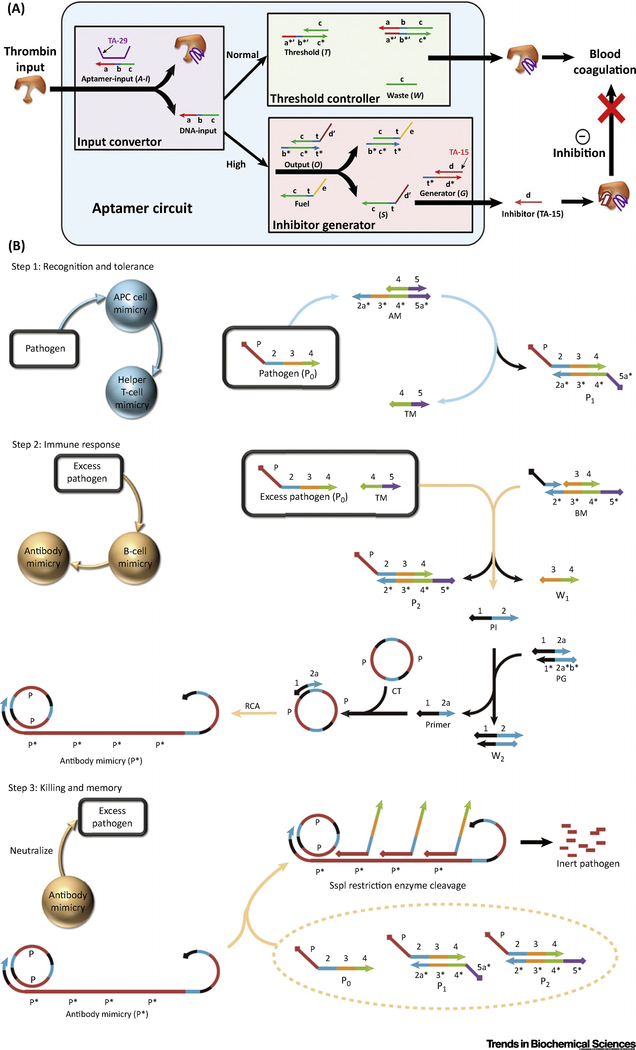 Figure 3.