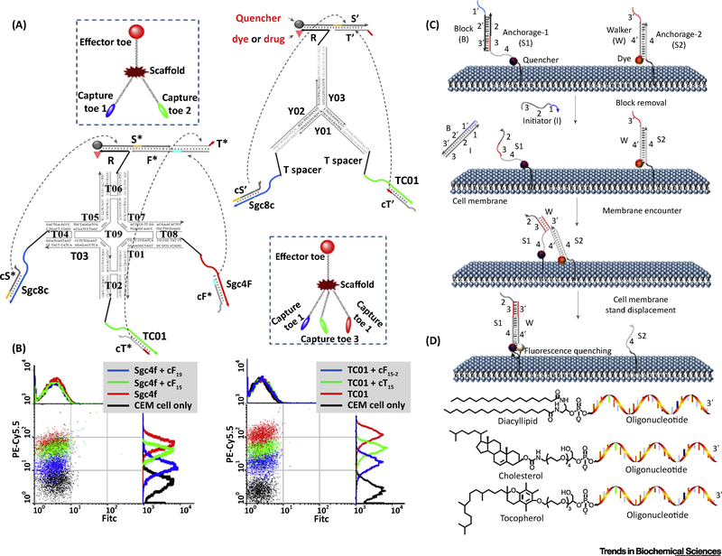 Figure 4.