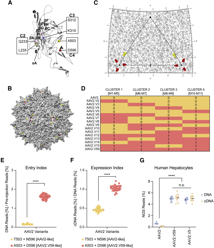 Figure 2