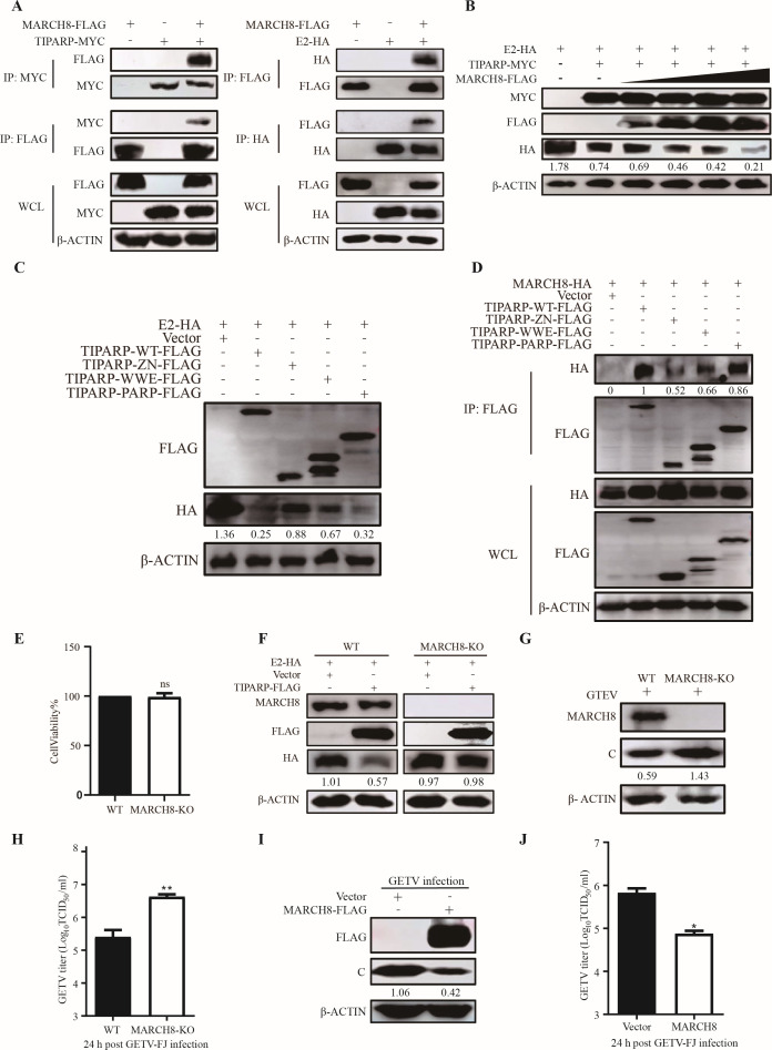 Fig 9